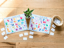 Load image into Gallery viewer, Master the USA Games