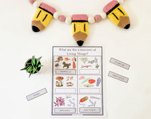 Load image into Gallery viewer, Science Learning Toolbox #3