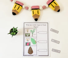 Load image into Gallery viewer, Science Learning Toolbox #3