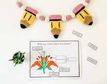 Load image into Gallery viewer, Science Learning Toolbox #3