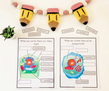 Load image into Gallery viewer, Science Learning Toolbox #3