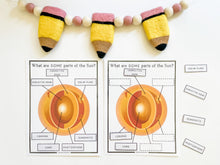 Load image into Gallery viewer, Science Learning Toolbox #4