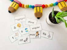 Load image into Gallery viewer, Classical Conversations Latin Flashcards-Cycle 2