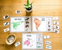 Load image into Gallery viewer, Early Learning Toolbox #7- Continent Play-Doh Mats & Matching