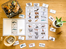 Load image into Gallery viewer, Early Learning Toolbox #7- Continent Play-Doh Mats & Matching