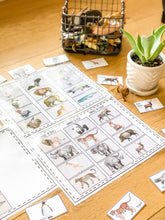 Load image into Gallery viewer, Early Learning Toolbox #7- Continent Play-Doh Mats & Matching