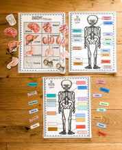 Load image into Gallery viewer, Early Learning Toolbox #8- The Skeletal System, Anatomy, The 5 Senses & Body Parts