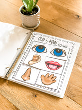 Load image into Gallery viewer, Early Learning Toolbox #8- The Skeletal System, Anatomy, The 5 Senses & Body Parts