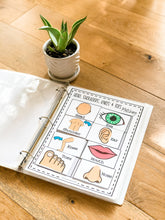 Load image into Gallery viewer, Early Learning Toolbox #8- The Skeletal System, Anatomy, The 5 Senses & Body Parts