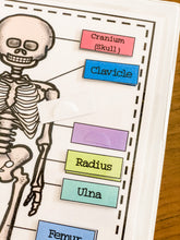 Load image into Gallery viewer, Early Learning Toolbox #8- The Skeletal System, Anatomy, The 5 Senses & Body Parts