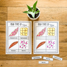 Load image into Gallery viewer, Science Learning Toolbox #1: Master the Body Systems