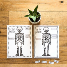 Load image into Gallery viewer, Science Learning Toolbox #1: Master the Body Systems