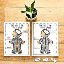 Load image into Gallery viewer, Science Learning Toolbox #1: Master the Body Systems