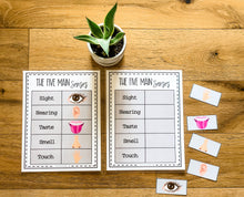 Load image into Gallery viewer, Science Learning Toolbox #1: Master the Body Systems