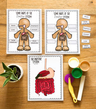 Load image into Gallery viewer, Science Learning Toolbox #1: Master the Body Systems