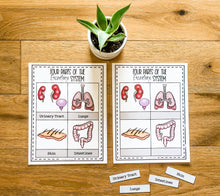 Load image into Gallery viewer, Science Learning Toolbox #1: Master the Body Systems