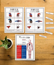 Load image into Gallery viewer, Science Learning Toolbox #1: Master the Body Systems