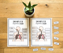 Load image into Gallery viewer, Science Learning Toolbox #1: Master the Body Systems