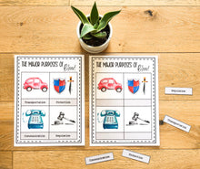 Load image into Gallery viewer, Science Learning Toolbox #1: Master the Body Systems