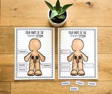 Load image into Gallery viewer, Science Learning Toolbox #1: Master the Body Systems