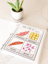 Load image into Gallery viewer, Science Learning Toolbox #1: Master the Body Systems