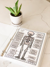 Load image into Gallery viewer, Science Learning Toolbox #1: Master the Body Systems