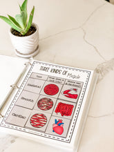 Load image into Gallery viewer, Science Learning Toolbox #1: Master the Body Systems