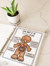 Load image into Gallery viewer, Science Learning Toolbox #1: Master the Body Systems