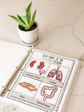 Load image into Gallery viewer, Science Learning Toolbox #1: Master the Body Systems