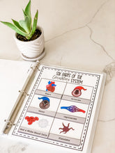 Load image into Gallery viewer, Science Learning Toolbox #1: Master the Body Systems