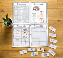 Load image into Gallery viewer, Science Learning Toolbox #1: Master the Body Systems