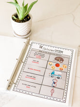 Load image into Gallery viewer, Science Learning Toolbox #1: Master the Body Systems