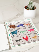 Load image into Gallery viewer, Early Learning Toolbox #20- On the Farm