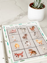 Load image into Gallery viewer, Early Learning Toolbox #20- On the Farm