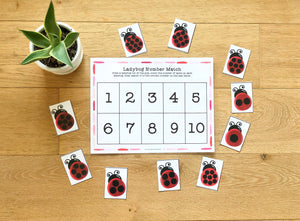 Early Learning Toolbox #3- Opposites, Patterns & Numbers